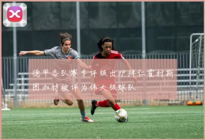 德甲各队赛季评级出炉拜仁霍村斯图加特被评为伟大级球队
